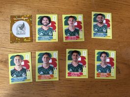 Panini 2026 MEX 8er Set