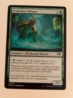 1 x Evolution Witness - Magic: The Gathering - MtG