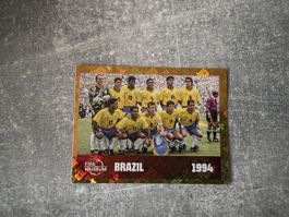 Panini FCW15 Brazil