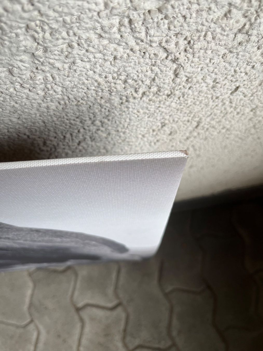 Dipinti: Canvas Löwenpaar -  100x70cm – Usato da Escholzmatt venduto da Stern777 3