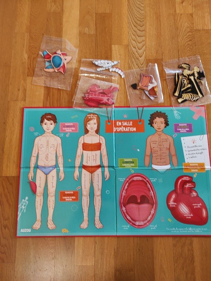 Giochi: Jeu et livre Corps humain – Usato da Moutier venduto da Mimi.75 2