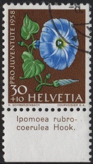 Alle Briefmarken: 30 Rp. Prunkwinde mit TAB (Ipomoea rubro-coerulea Hook.) – Gebraucht aus Eglisau von Chperfins