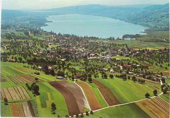 Cartoline postali: SEENGEN Hallwilersee – Usato da Jona venduto da philajona
