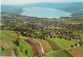 SEENGEN Hallwilersee