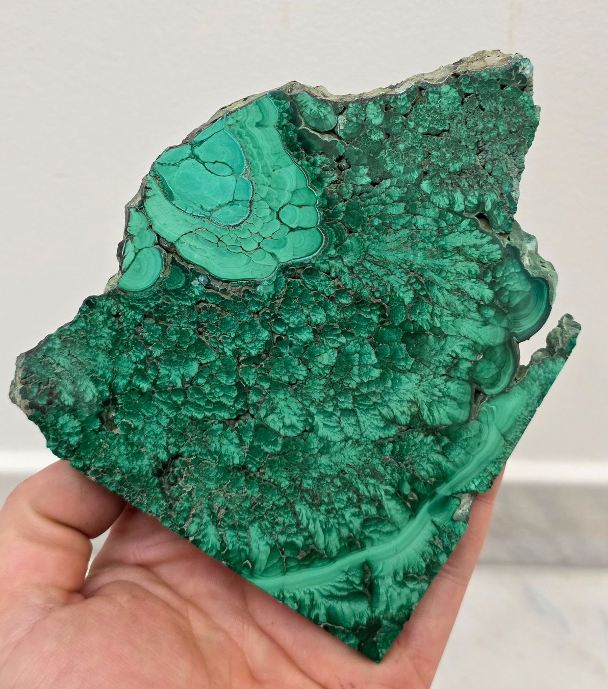 Minerali & Pietre curative: Malachit Scheibe D 311g – Nuovo e nell'imballaggio originale da Matzingen venduto da Shay_Crystalz