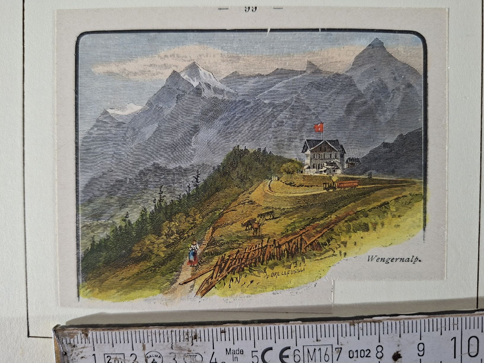 Incisioni: Lot 63 , 10 Stiche  – Usato da Grindelwald venduto da carro5 6