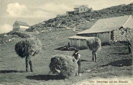 Ebenalp   AI   -    Heuernte