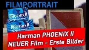 Ilford Pellicole: HARMAN Phoenix II 200 Format 135/24 C-41 – Nuovo e nell'imballaggio originale da Halden venduto da TopFoto 9