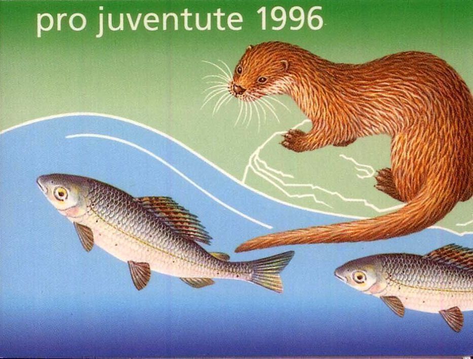 Tutti i francobolli: 1996 Pro Juventute MH ES KW 22.- – Usato da Eggersriet venduto da stamp303