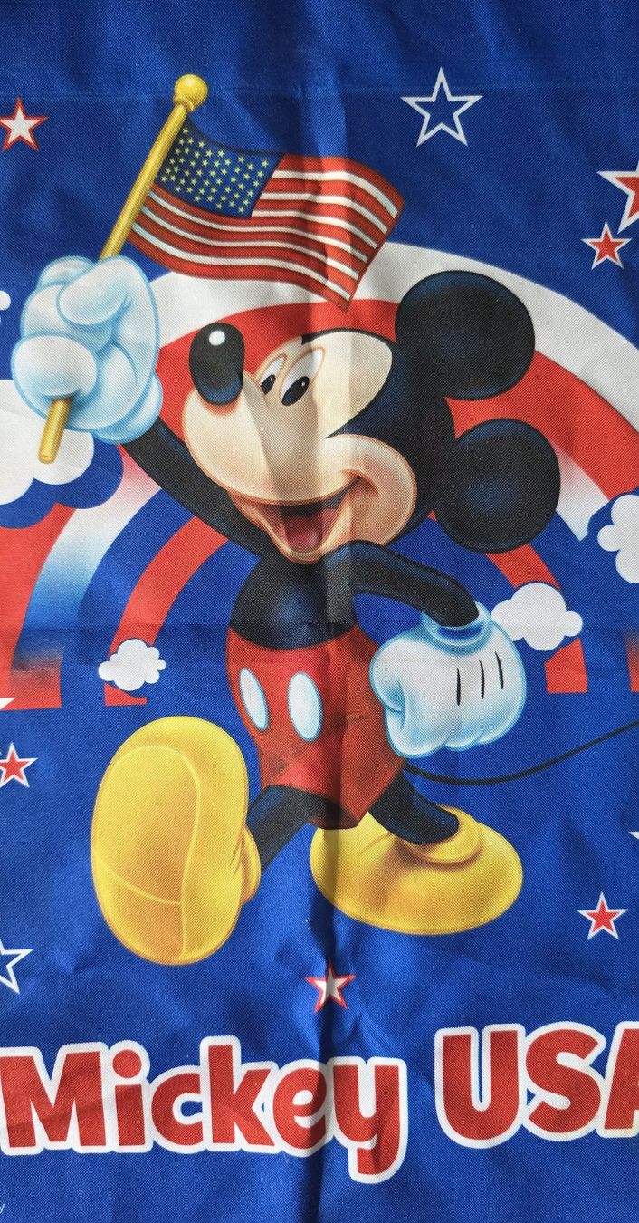 Fahnen: Walt Disney  Garten Fahne – Neu (gemäss Beschreibung) aus Oetwil am See von fineli2 1