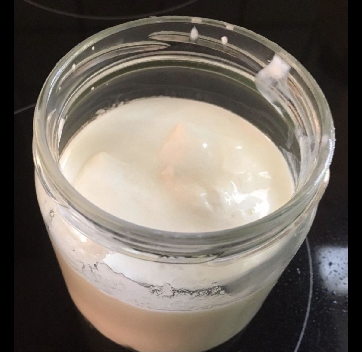 Cibi & Specialità: Kefir Knolle/ Pilz – Nuovo (secondo la descrizione) da Schänis venduto da Ktini 1