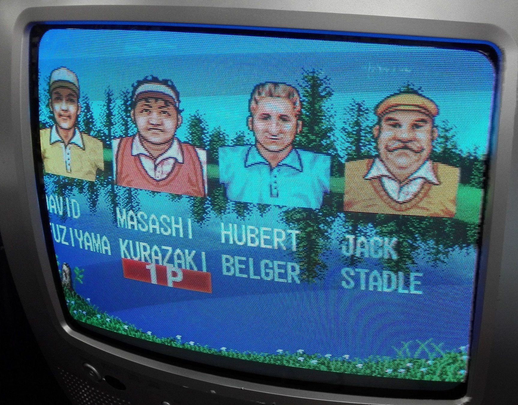 Slot Machine: Top Player Golf / MVS SNK Arcade – Usato da St. Gallen venduto da zorro_dc 4