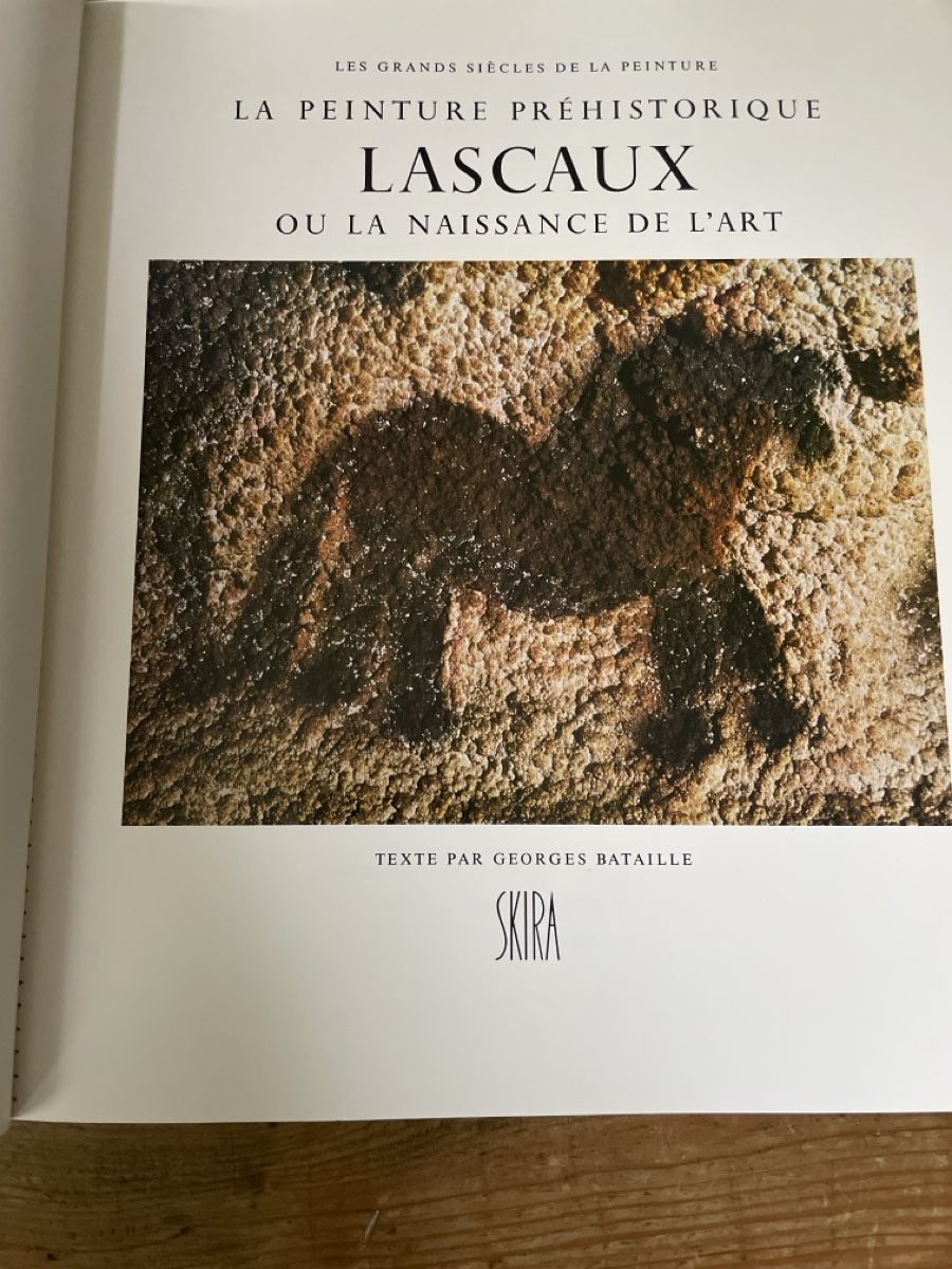 Libri: Kunstkatalog Lascaux Skira 1992 – Usato da Winterthur venduto da cheerio97 3