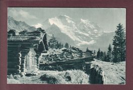 Bei WENGEN - Jungfrau