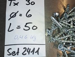 Schrauben Torx Ø 6mm; L=50mm; Tx 30