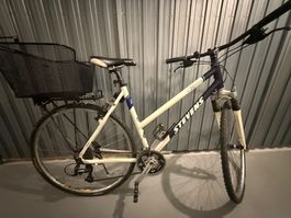 Stevens X5 Cross Damenfahrrad