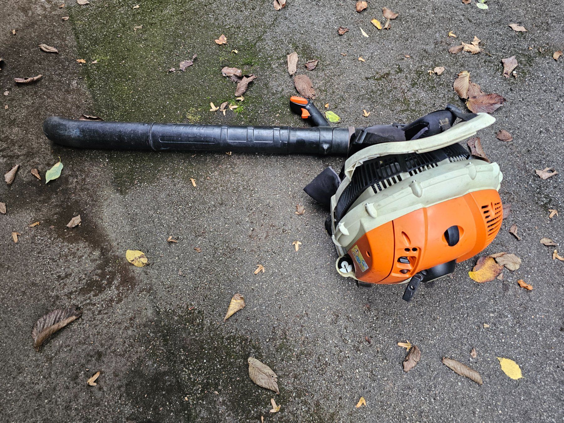 Stihl Soffiatori & Aspiratori per foglie: Laubbläser Stihl BR 600 – Usato da Oberburg venduto da herkules69 1