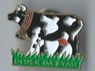 Kuh Pin