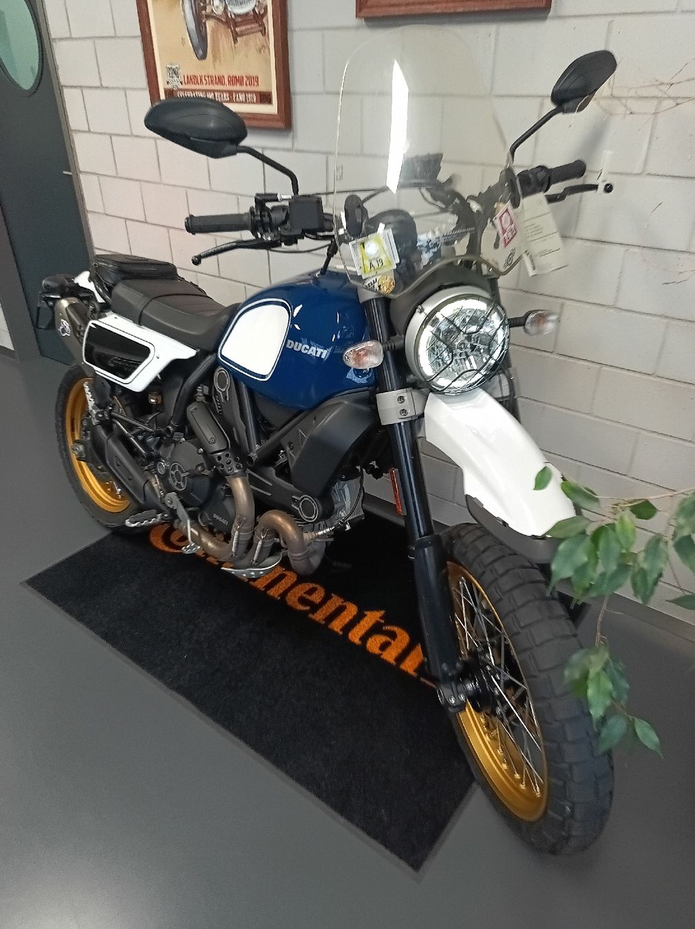 Ducati Enduro: Ducati Desert Sled – D'occasion à Riet (Neftenbach) par arm_8255 1