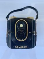 GEVEART 2 TYPES