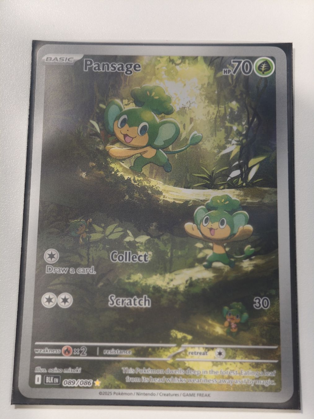 Pokémon Cartes à collectionner: Pansage 089/086 EN – Neuf (Voir description) à Therwil par Cordachu_Trade