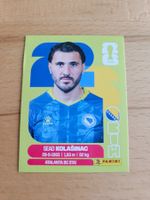 Panini WM 2026 BIH 4
