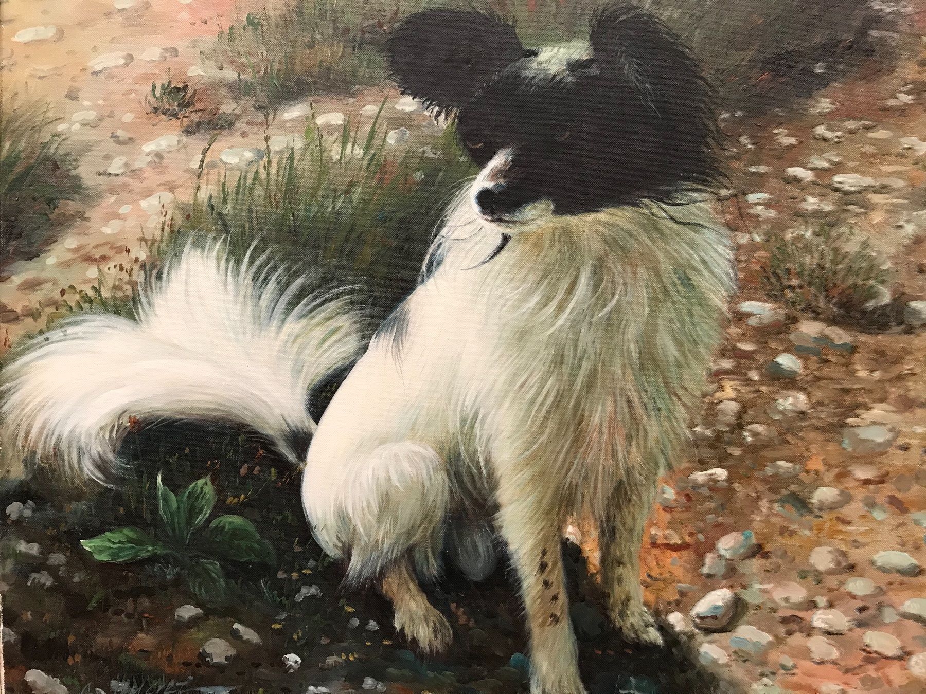 Dipinti: A. Ducret Orig.  Öl a. Lwd. 73x63cm – Usato da Zürich venduto da otomado