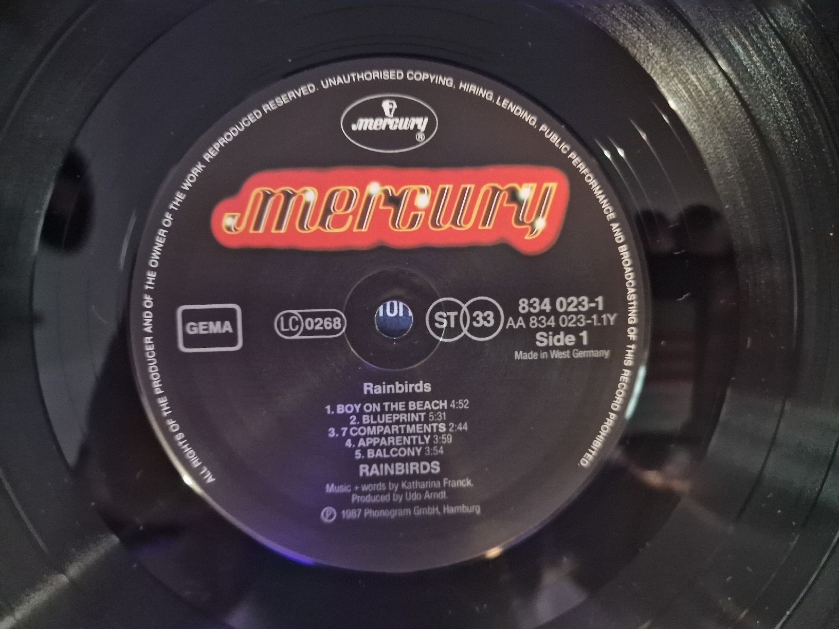 Dischi in vinile: Rainbirds - Rainbirds – Usato da Pfaffnau venduto da gunport 4