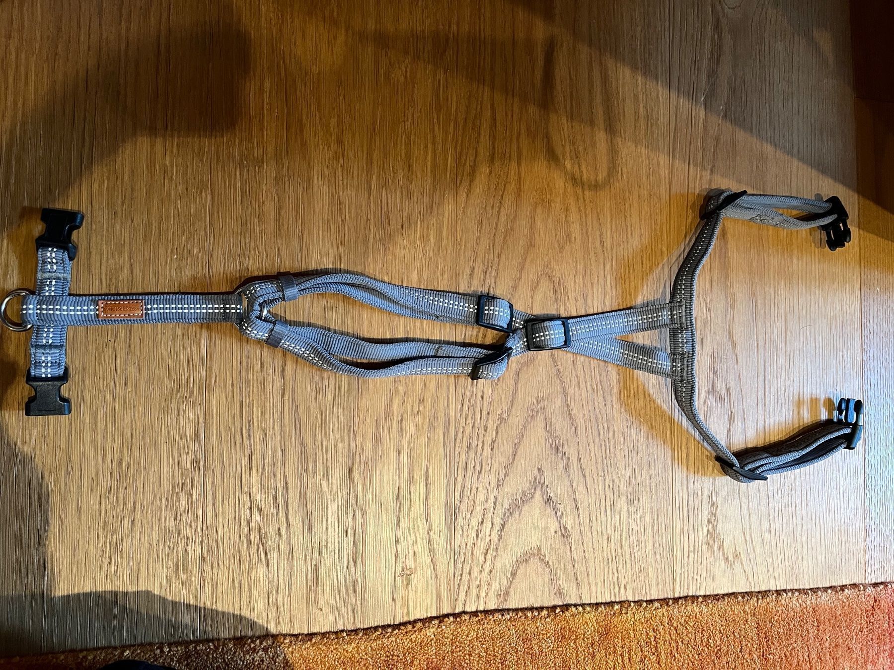 Leine & Halsband: Hundeleine und Geschirr – Gebraucht aus Ermatingen von Alina.W 1
