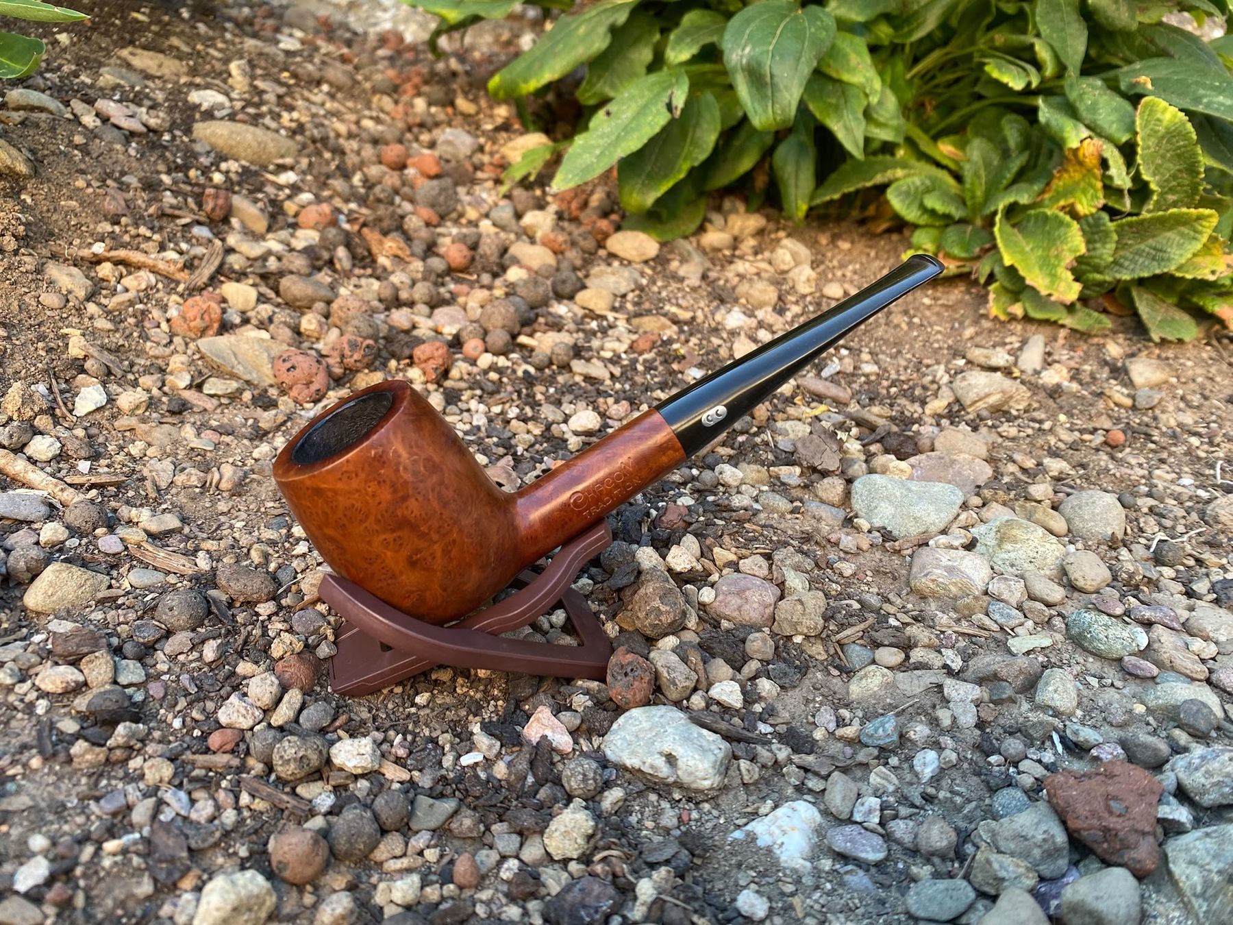 Pipes & Accessoires: Tabak Pfeife Chacom – D'occasion à Schänis par M.a.r.k.85