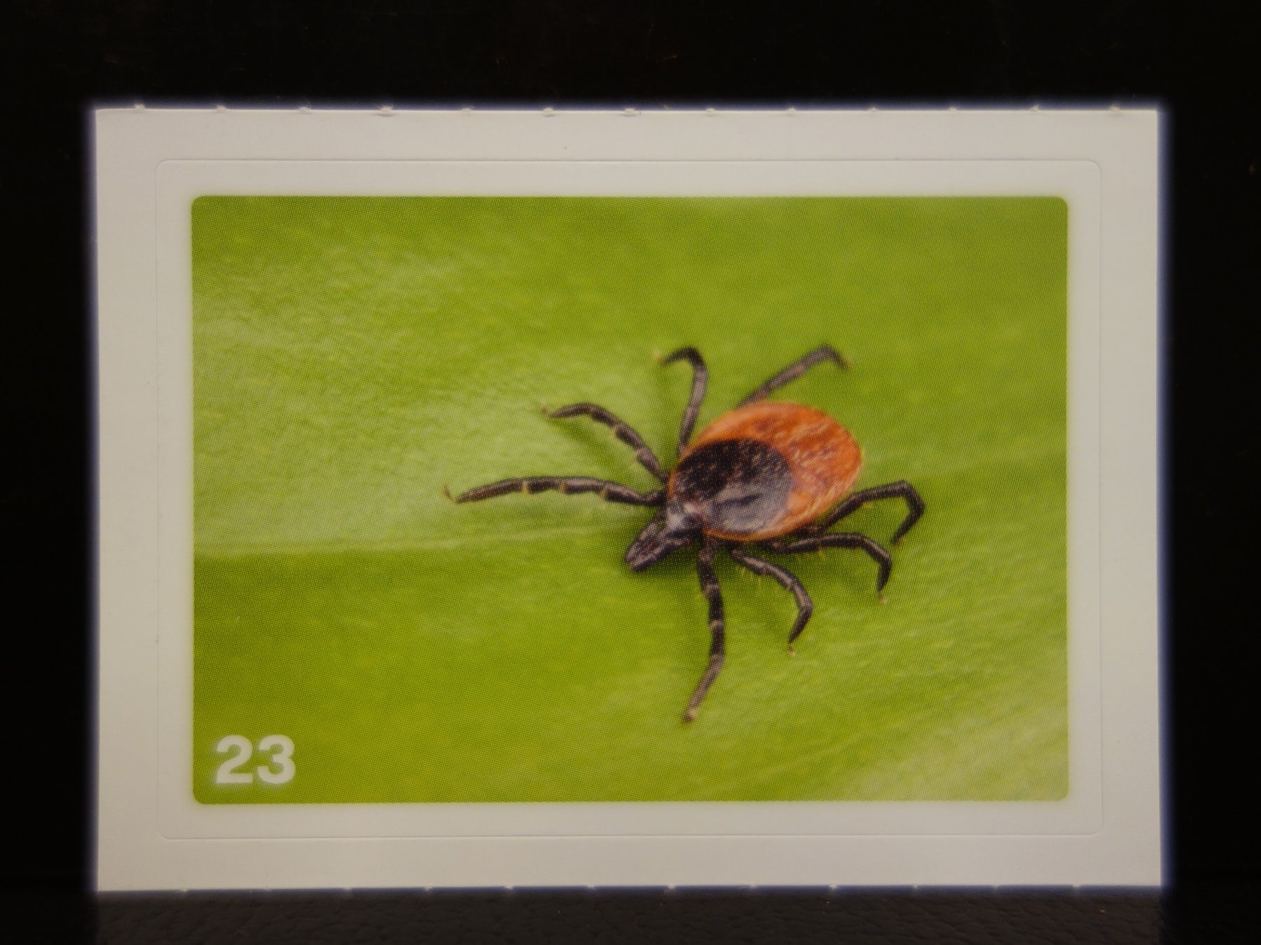 Migros Sammelbilder & Trading cards: MIGROS MANIA Nature Detectives Nr. 23 – Neu und originalverpackt aus Kerzers von djstarsky73