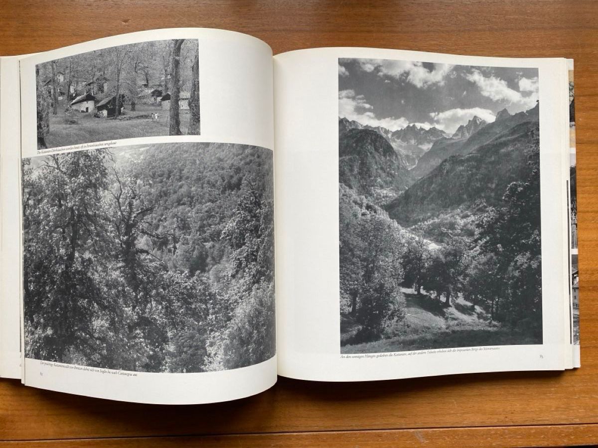 Libri: Das Bergell Heimat der Giacometti – Usato da Zürich venduto da ann_9fv5 2