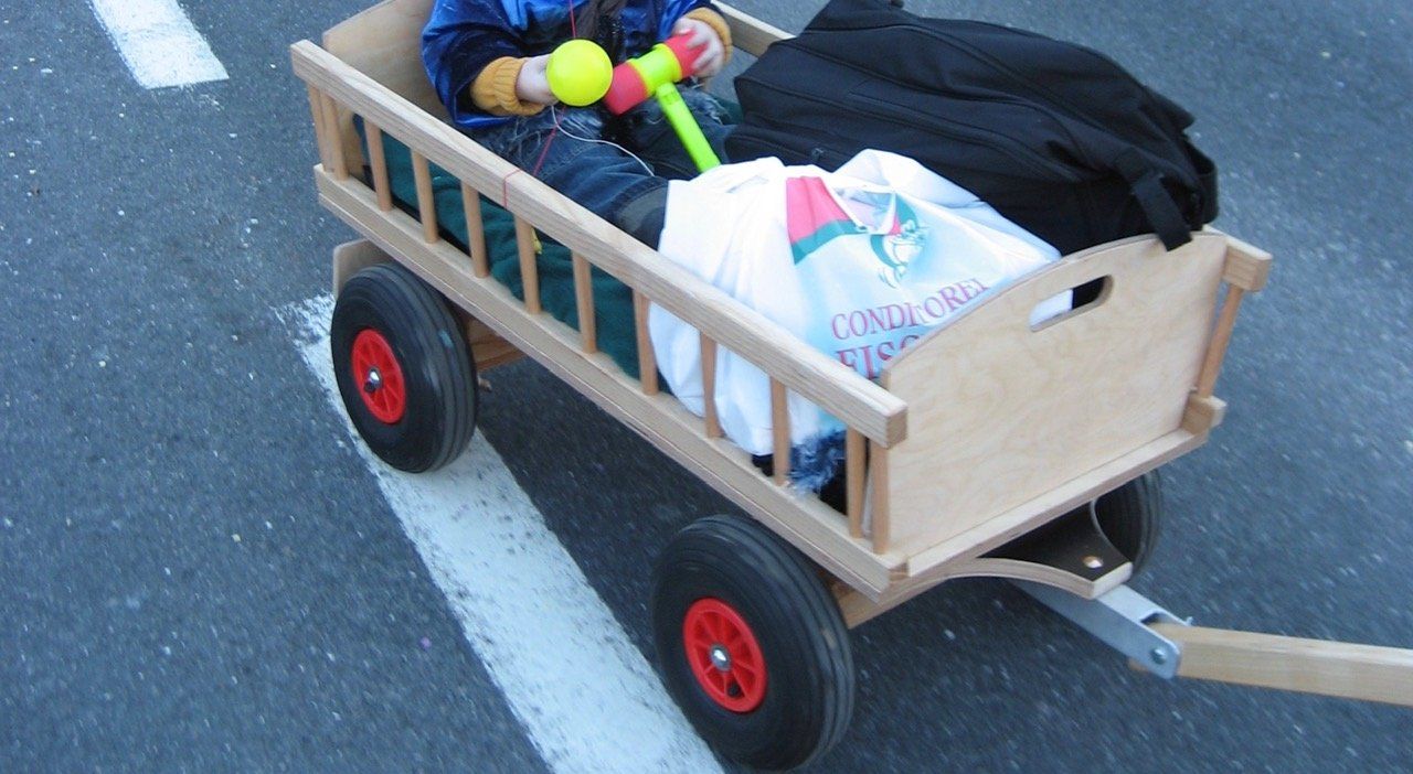 Carrelli di trasporto: Leiterwagen / Transportwagen – Usato da Luzern venduto da veloce37 2