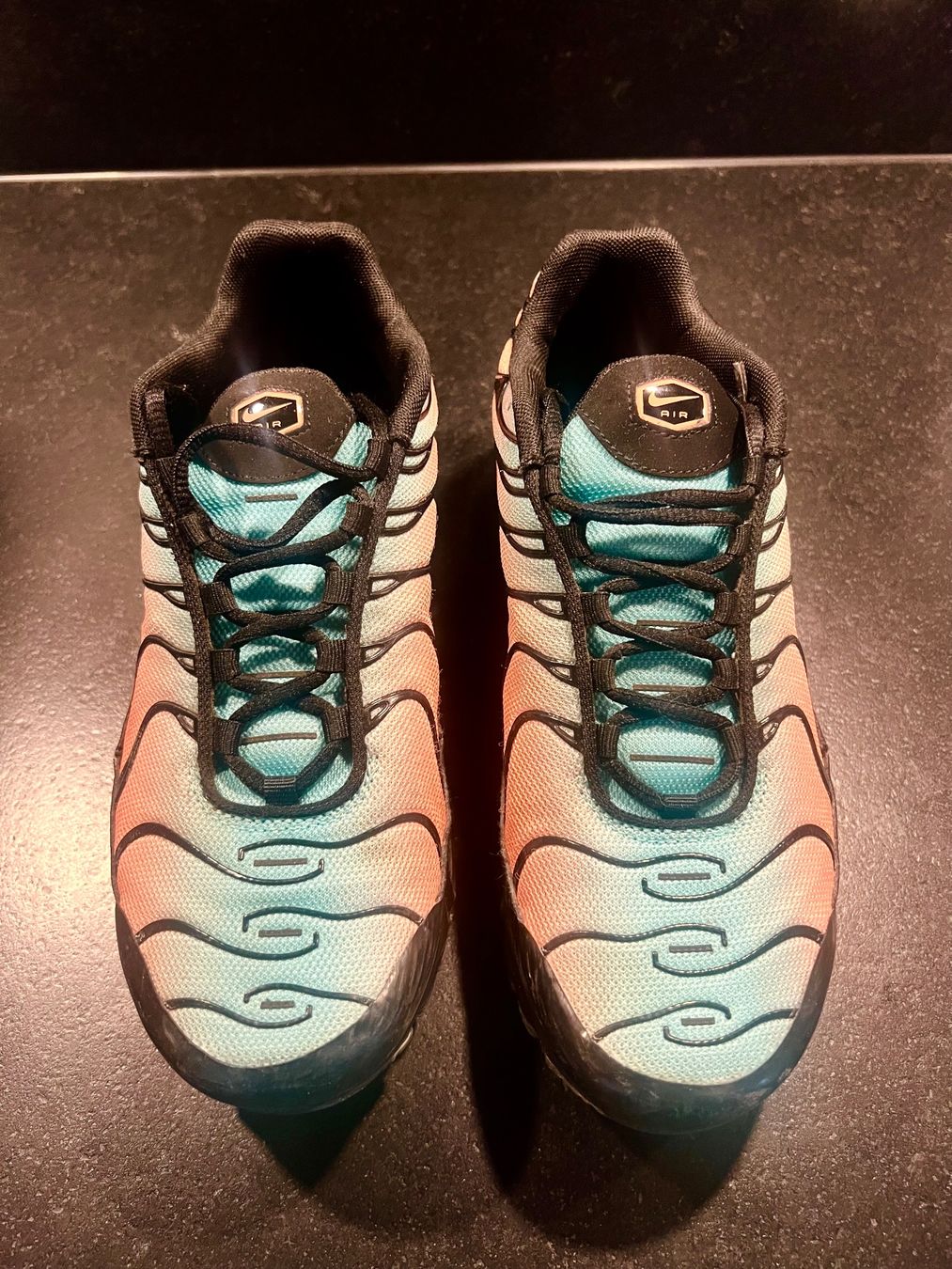 Nike Herrenschuhe: Nike Air Max Plus TN – Gebraucht aus Rümlang von topo5