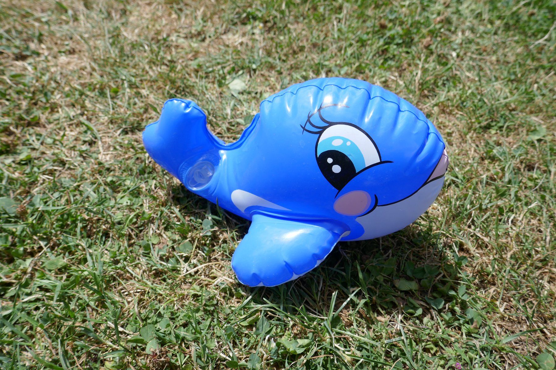 Intex Piscine: Intex Walfisch – Usato da Ballwil venduto da goldi360 1