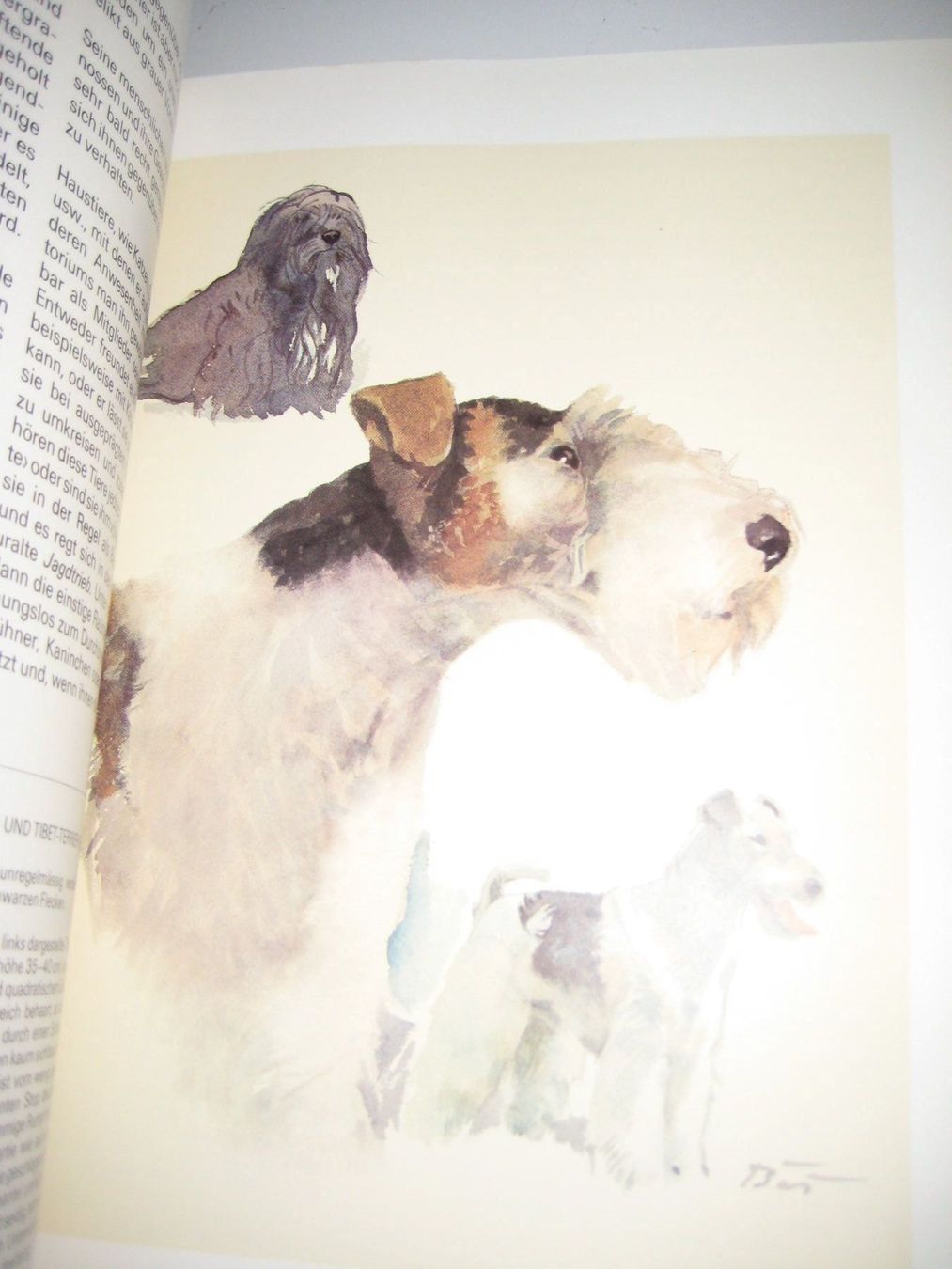 Libri: Buch "Unsere Hunde" – Usato da Neftenbach venduto da Werthe 1