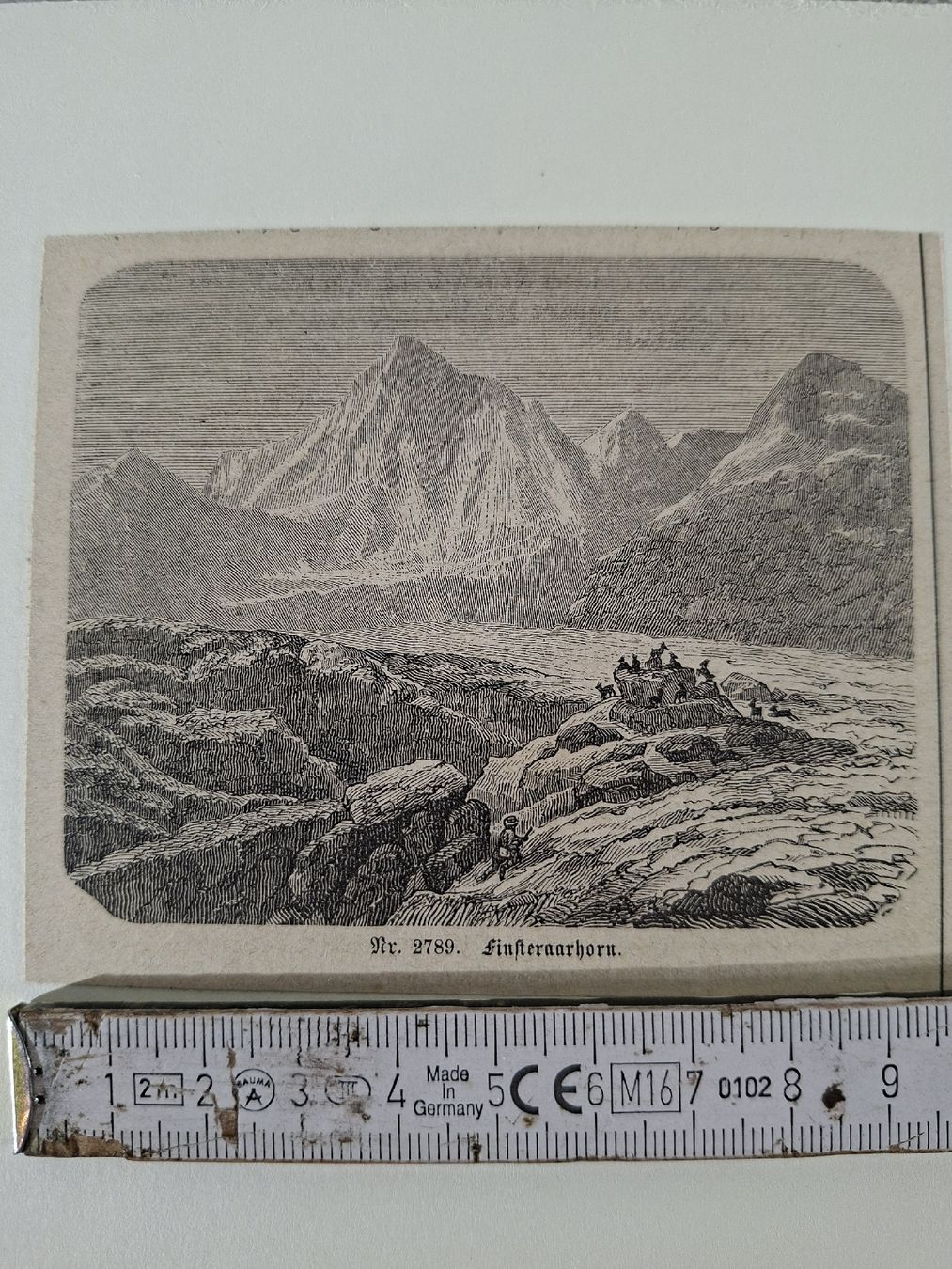 Incisioni: Lot 66 , 10 Stiche  – Usato da Grindelwald venduto da carro5 5