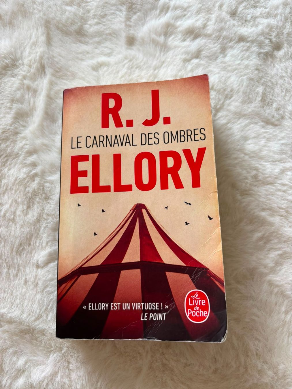 Libri: R.J Ellory - Le carnaval des ombres – Usato da Eschert venduto da elleajis
