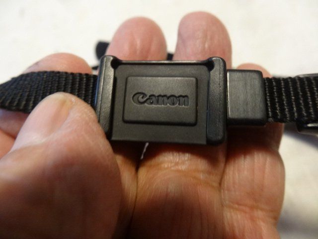 Canon Fotocamera: CANON EOS DIGITAL  KAMERA TRAGEGURT .NUR TRAGEGURT – Usato da zürich venduto da ahmad01 3