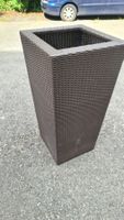 Rattan-Blumentopf