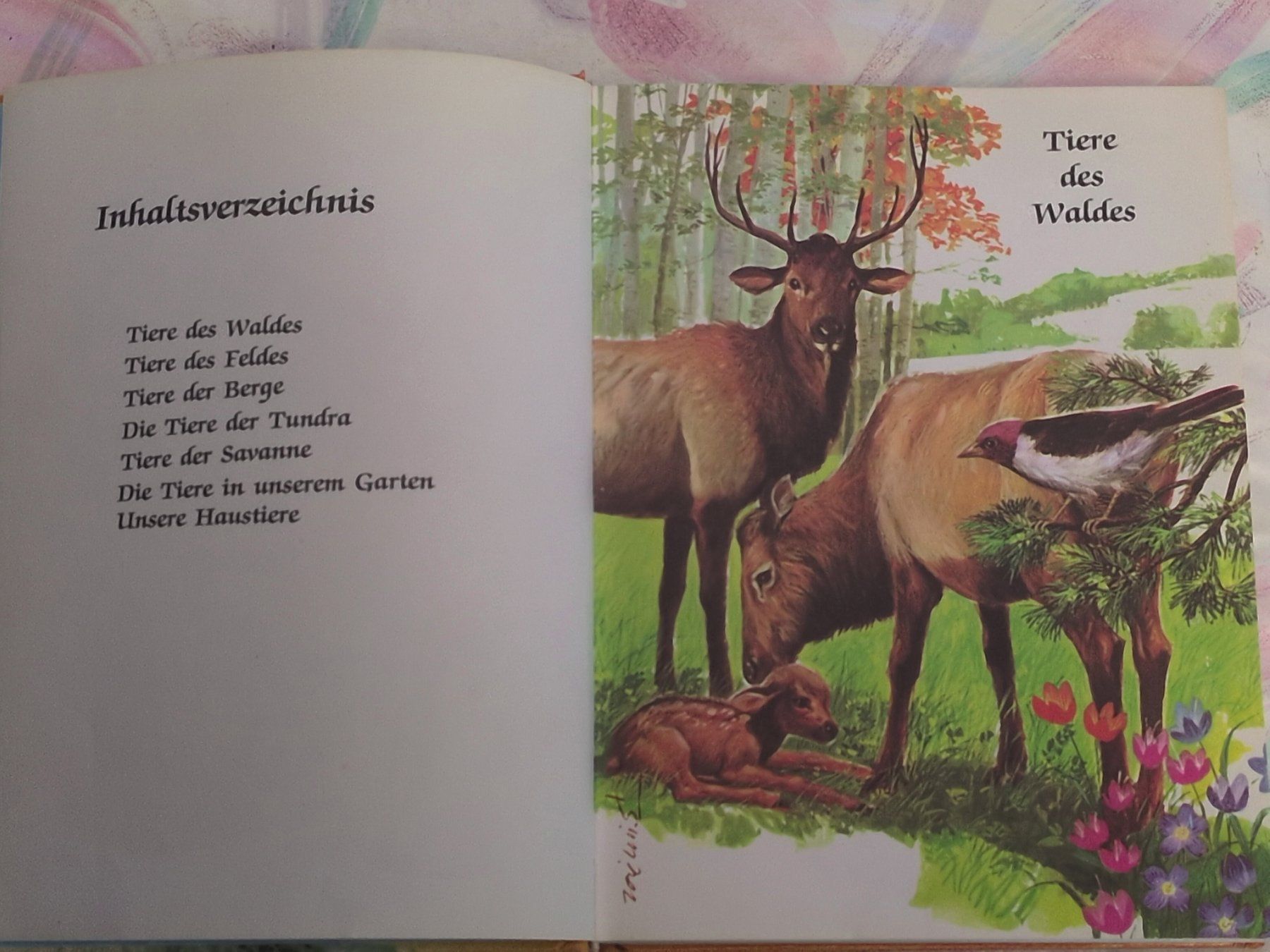 Livres: Tiere aus aller Welt – D'occasion à Ottikon par sobsale 1