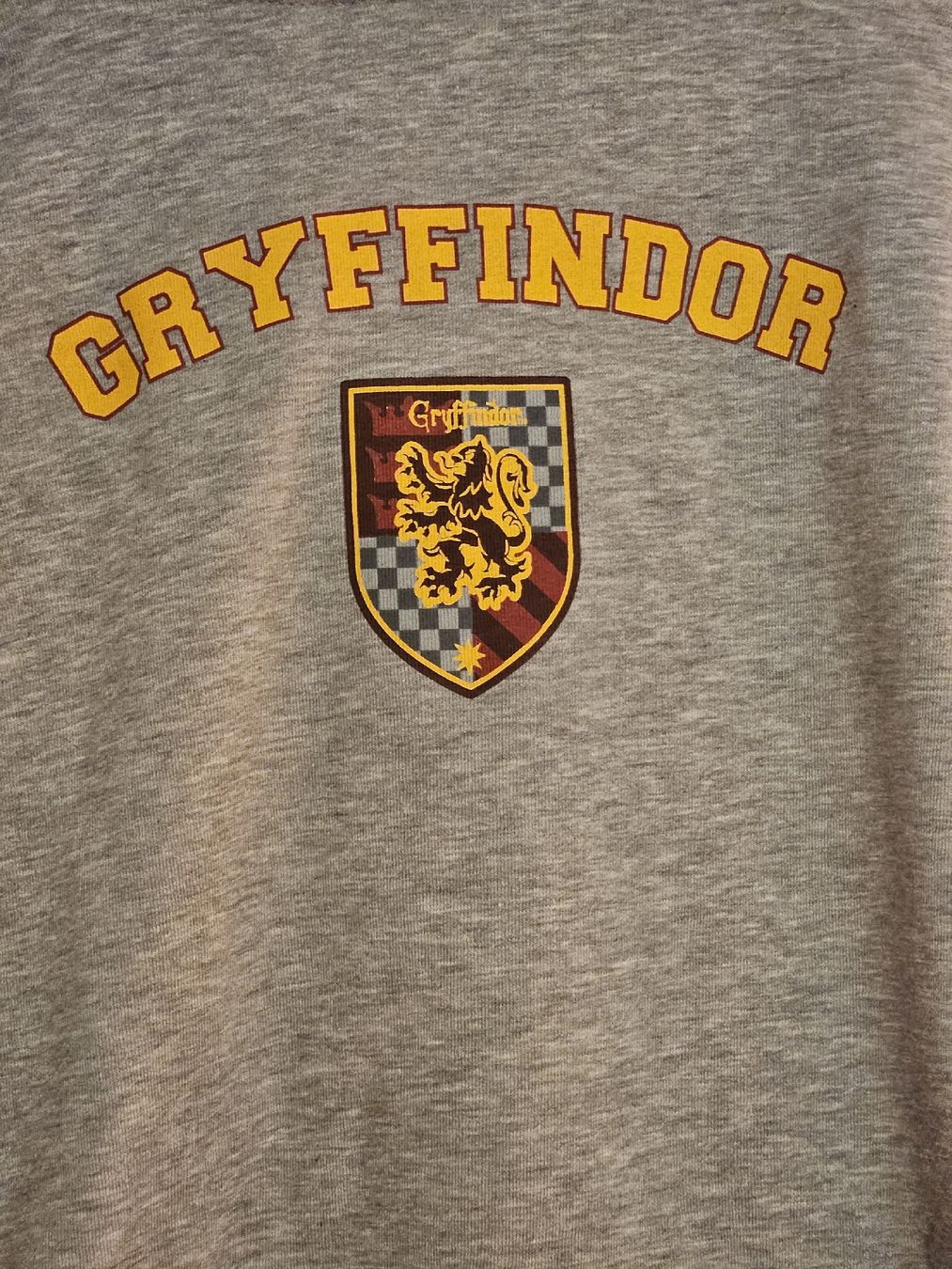 Maglioni & Felpe: Harry Potter Hoodie Griffendor – Usato da Hüttlingen venduto da Thurgi85 1