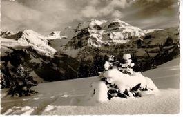 Lenk i. S. am Betelberg