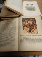 Silva Bücher Diverse