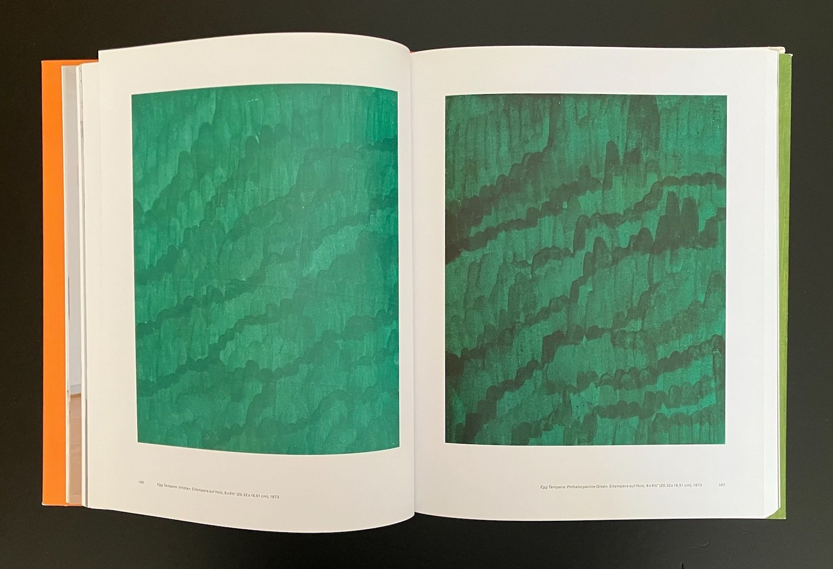 Bücher: marcia hafif . the inventory: painting – Gebraucht aus Allschwil von rotocker 8