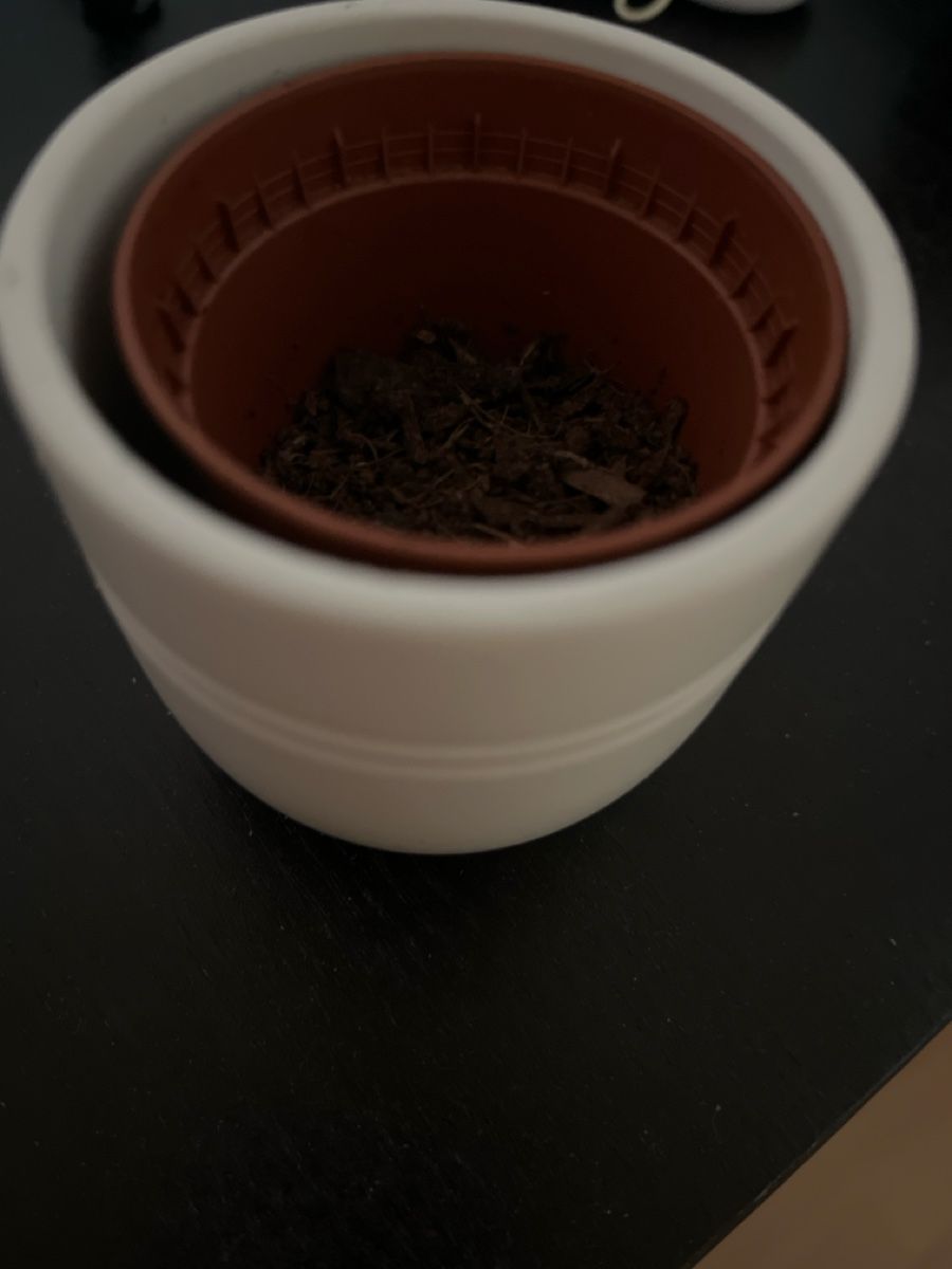 Ikea Vasi & Recipienti: White vase 6cm – Usato da Dietlikon venduto da clf_g9mp 1