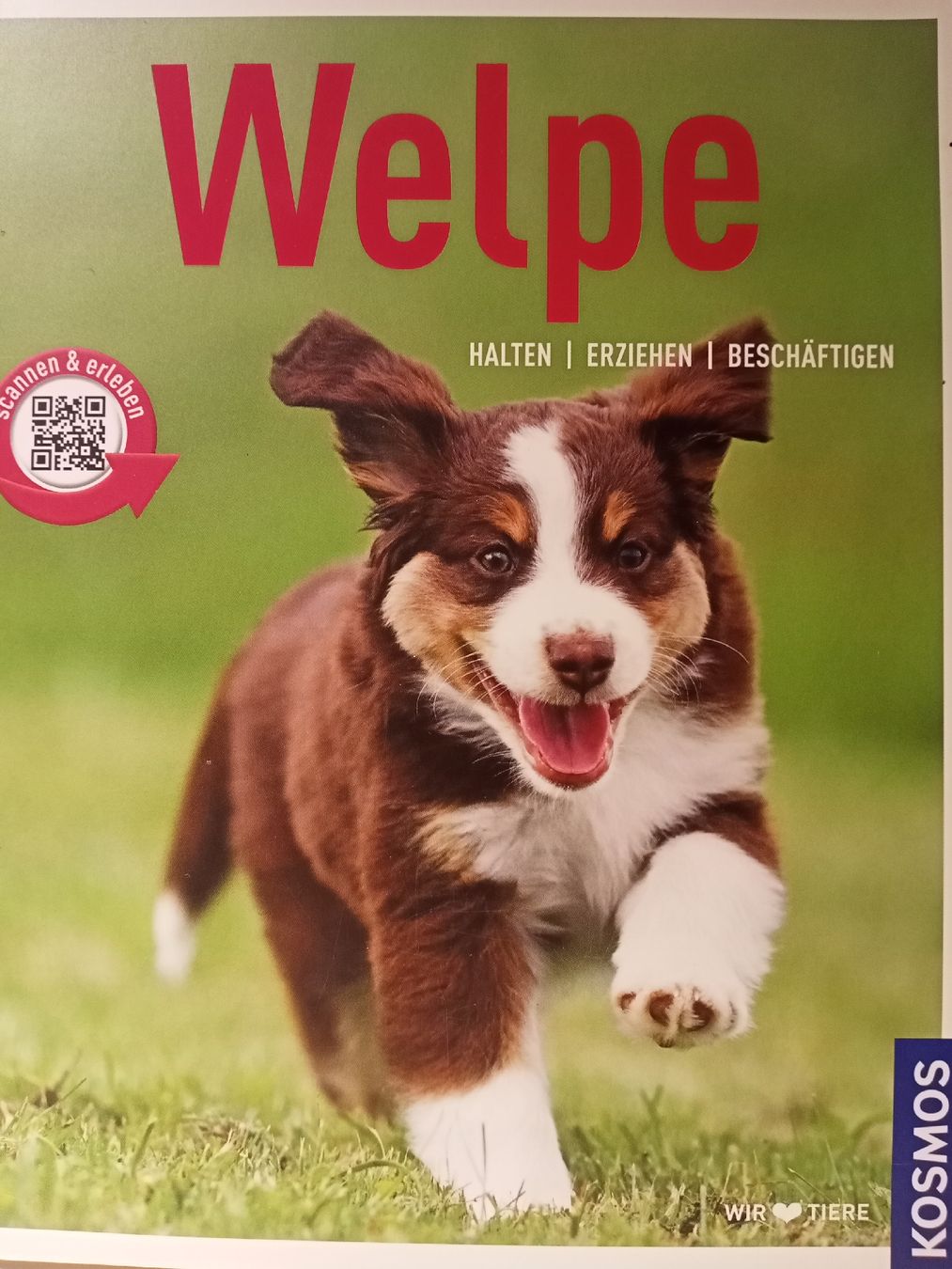 Bücher: Buch: Welpe – Neu (gemäss Beschreibung) aus Oftringen von Myti