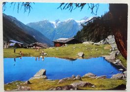 Bergseelein auf Fafleralp im Lötschental
