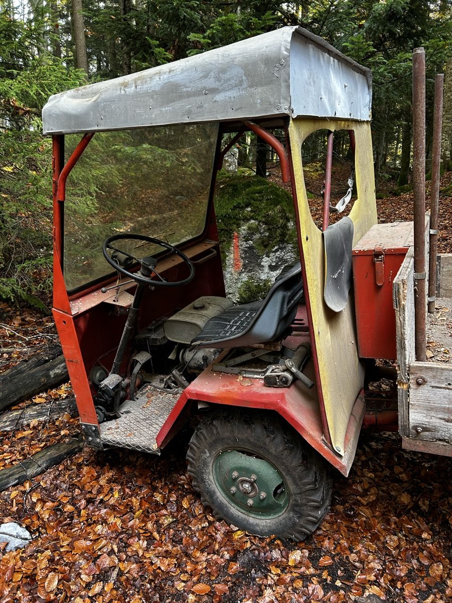 Aebi Tracteurs: Transporter  – D'occasion à Meiringen par wer_6b9y 1