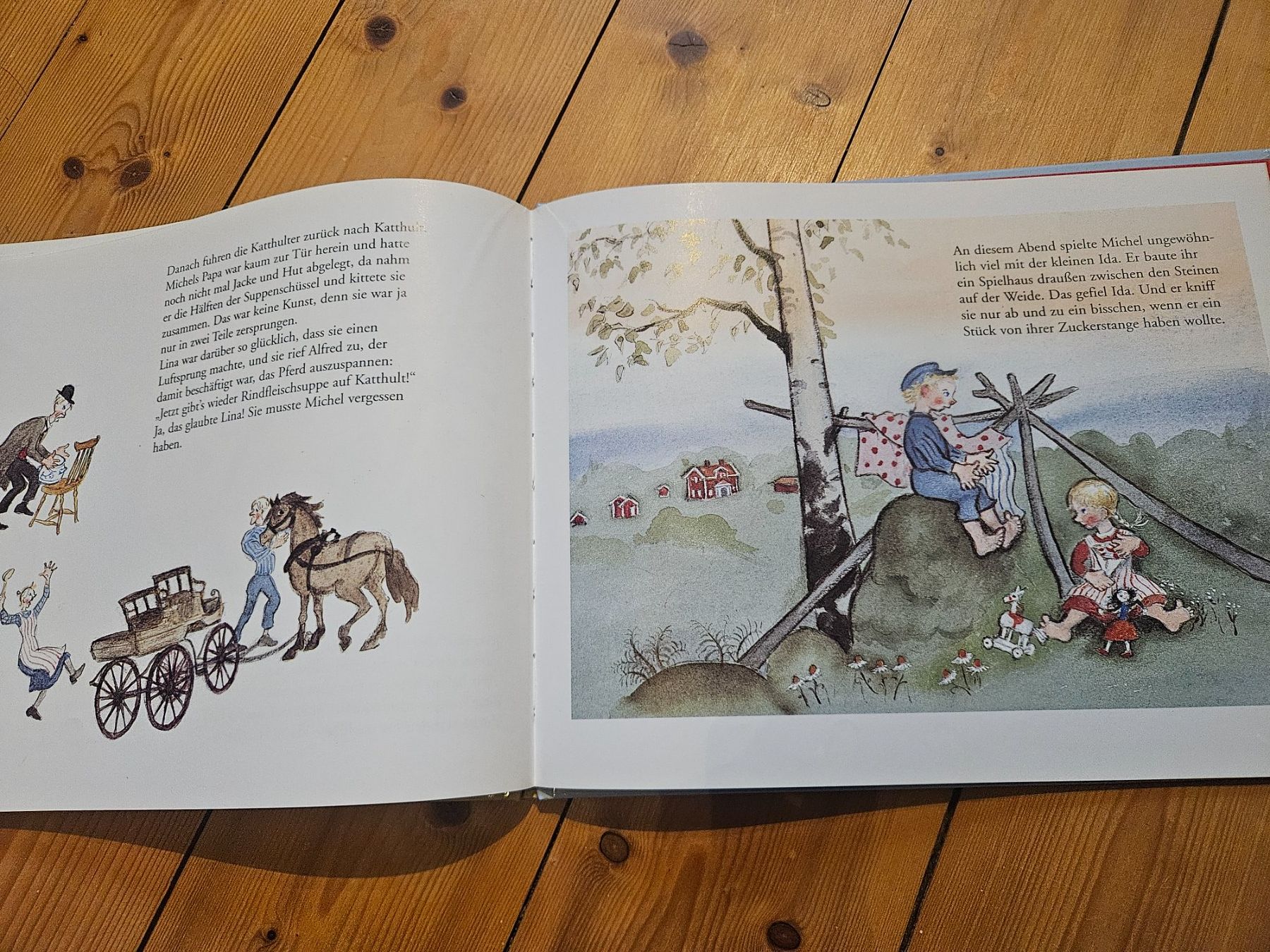Libri: Bilderbuch, Michel, Astrid Lindgren – Usato da Rifferswil venduto da fle_5nqr 2